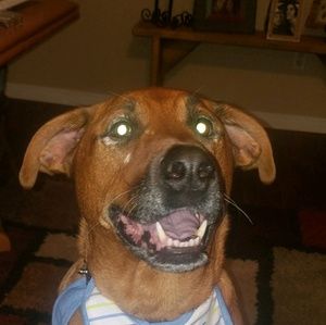 Meet your Posher, Adam